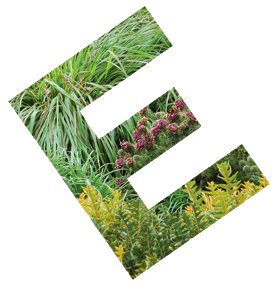 Eckersley Garden Architecture