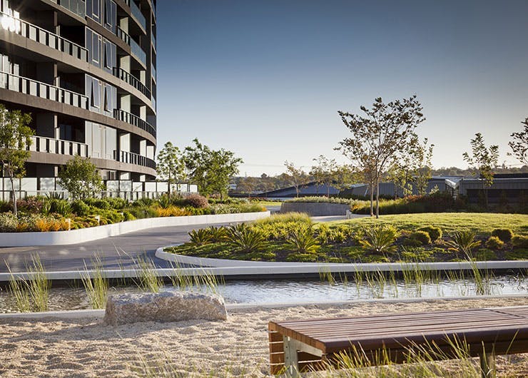 MDG Landscape Architecture