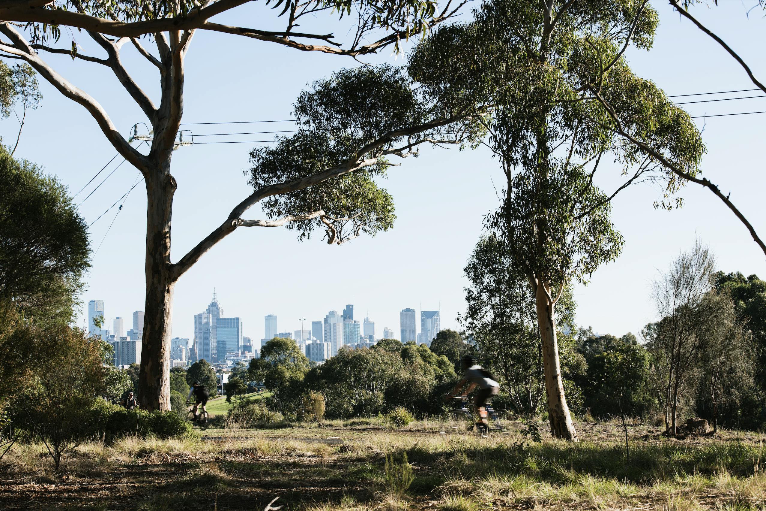 Alphington surpasses all other Melbourne suburbs with 65.2% growth over last 5 years. 