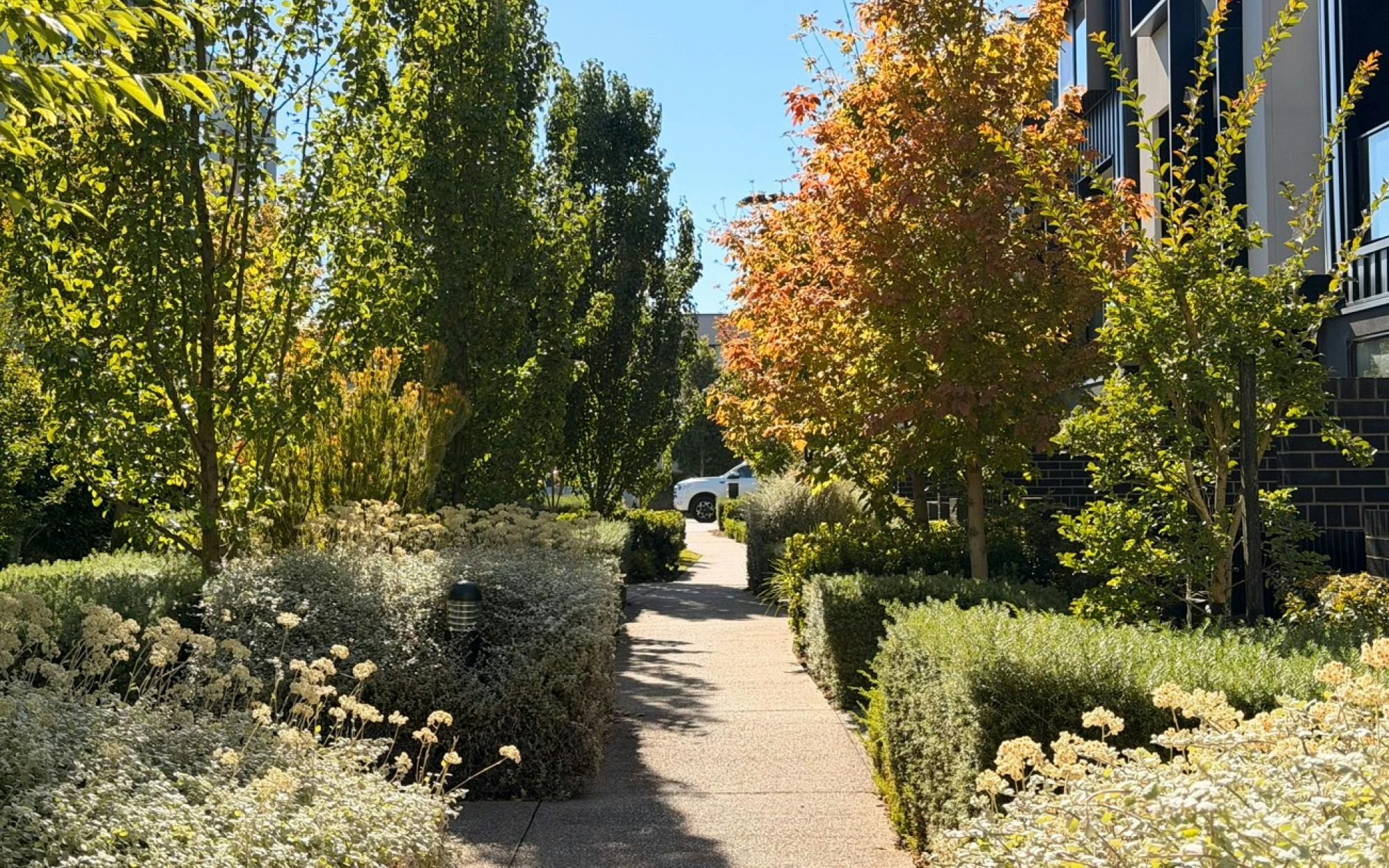 Thoughtful Landscaping