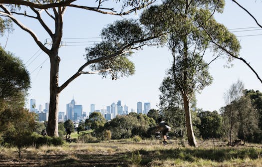 Alphington surpasses all other Melbourne suburbs with 65.2% growth over last 5 years. 