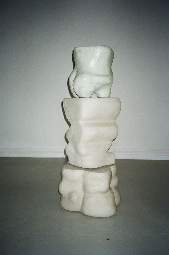 Species of the Space — Asagi 2021 #171