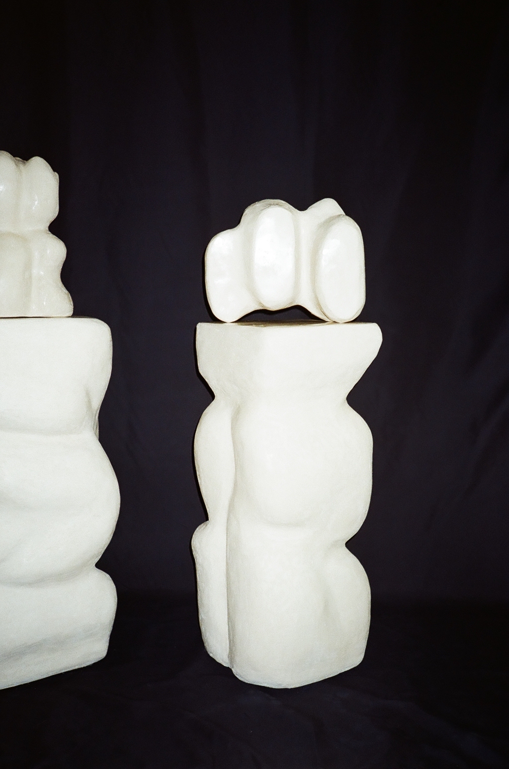 Species of the Space V  2022 #141