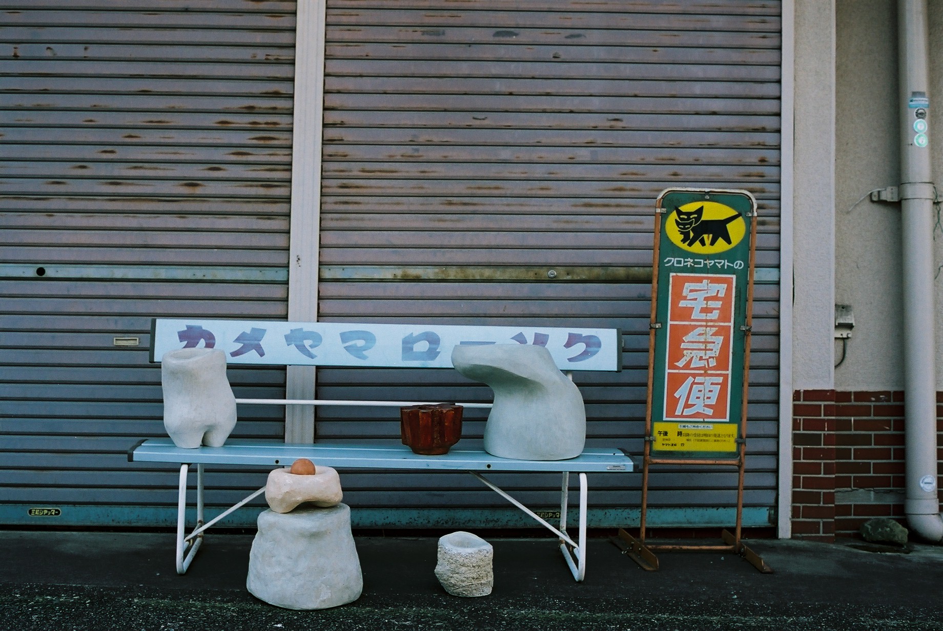 Shiro Oni, Japan  2019 #41