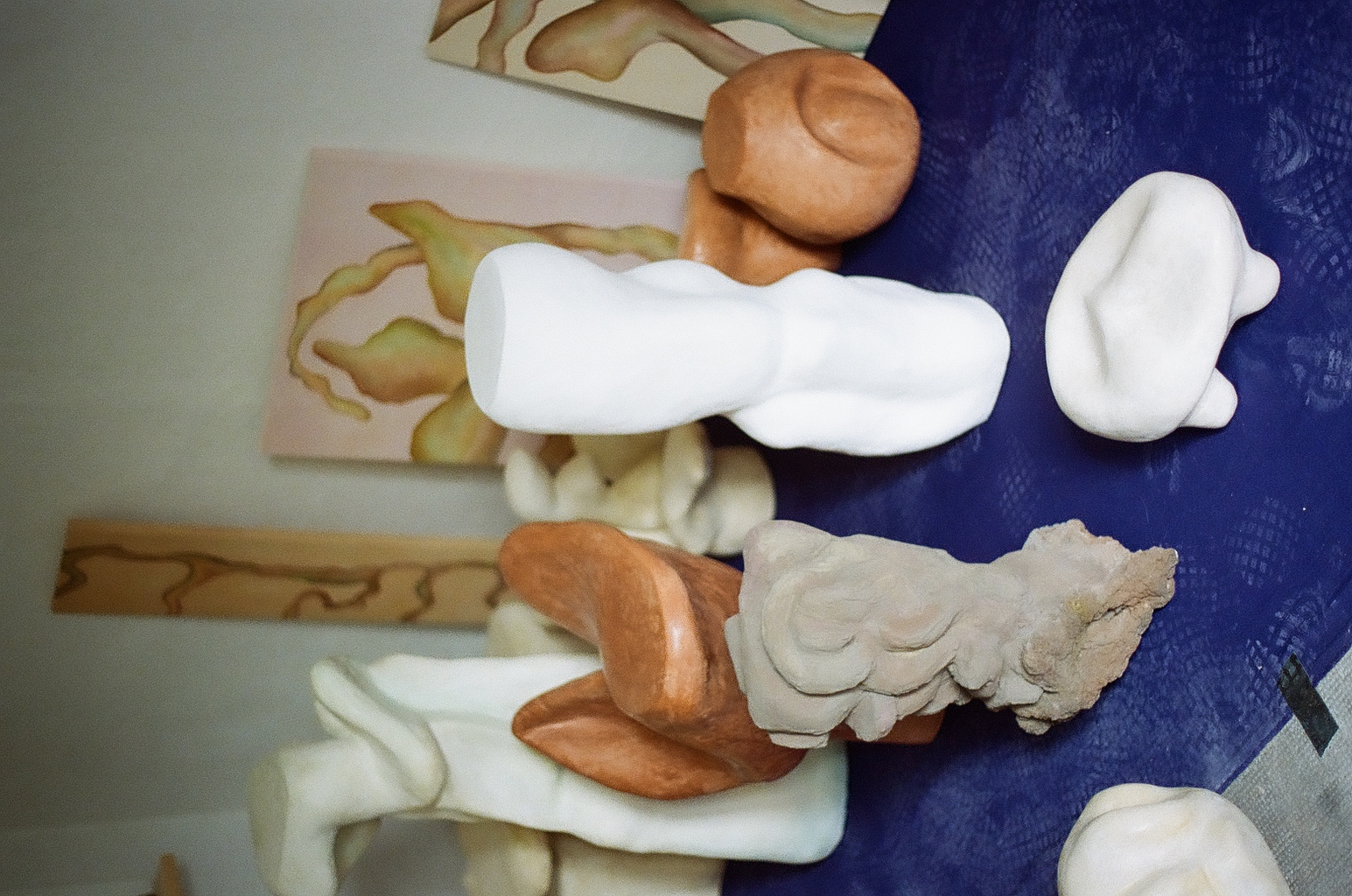 Vital Spaces Solo Exhibition 2024 #401