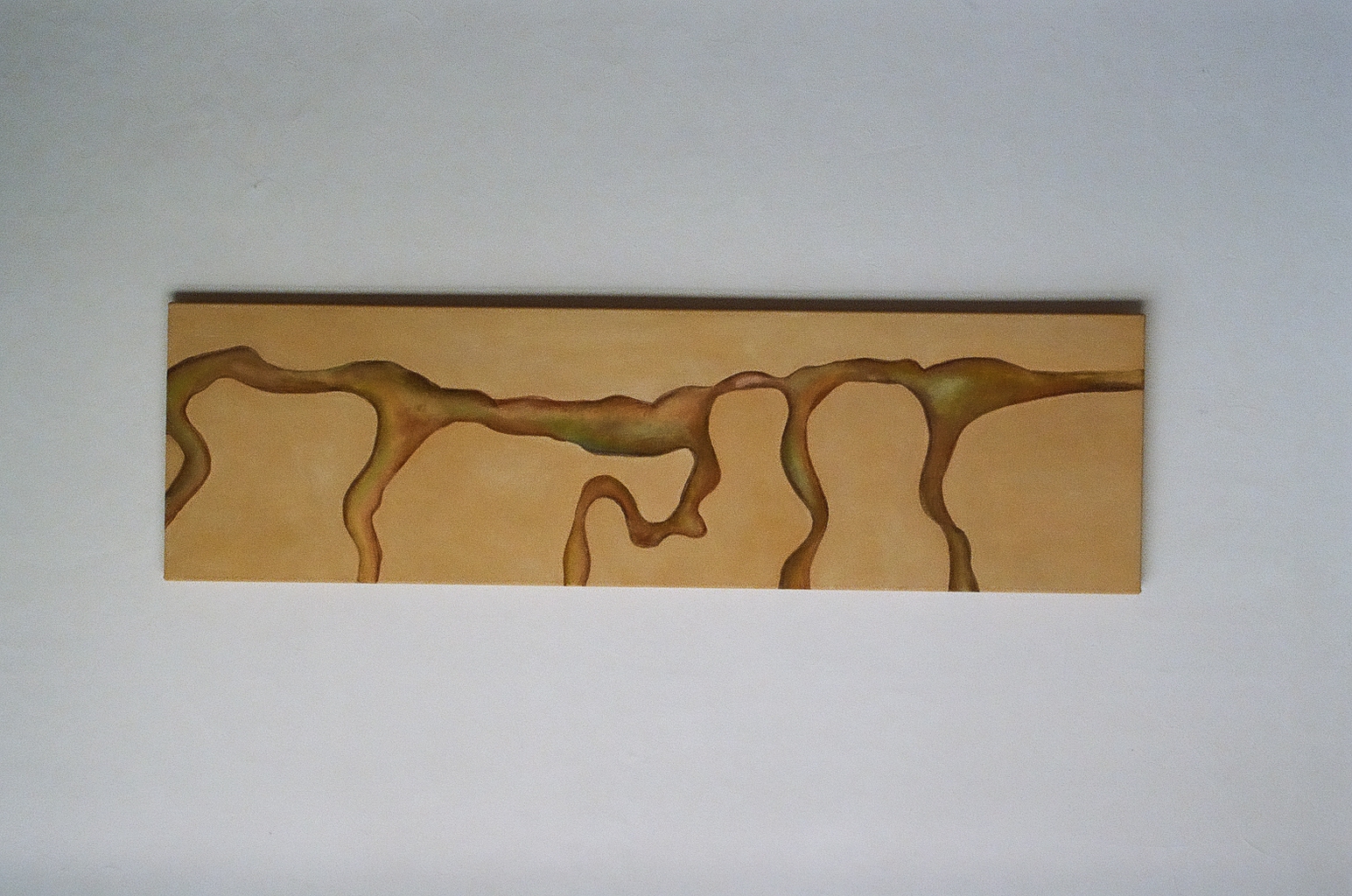 Holding the pulse of unseen journeys #01