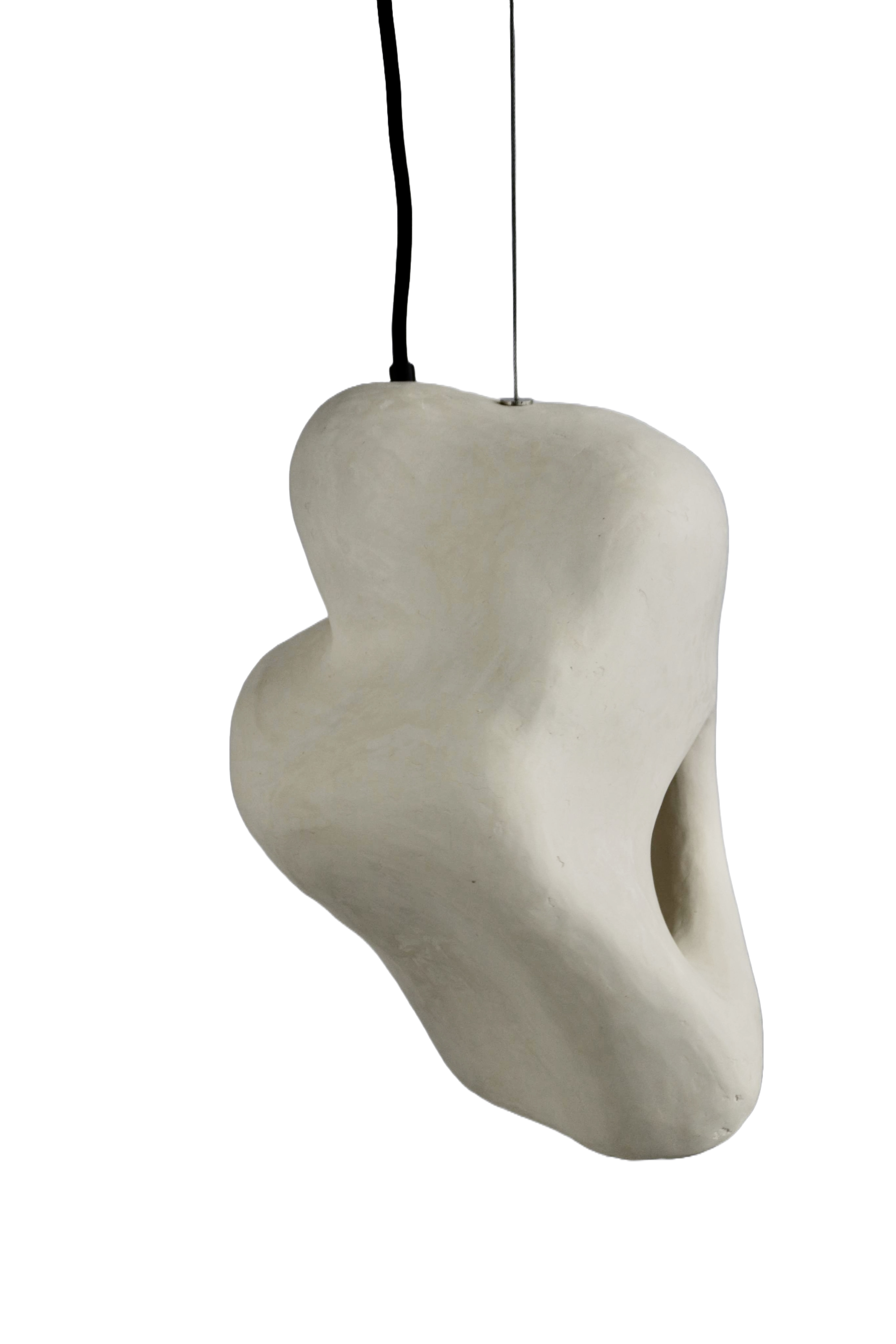 Invr Pendant Lamp #91