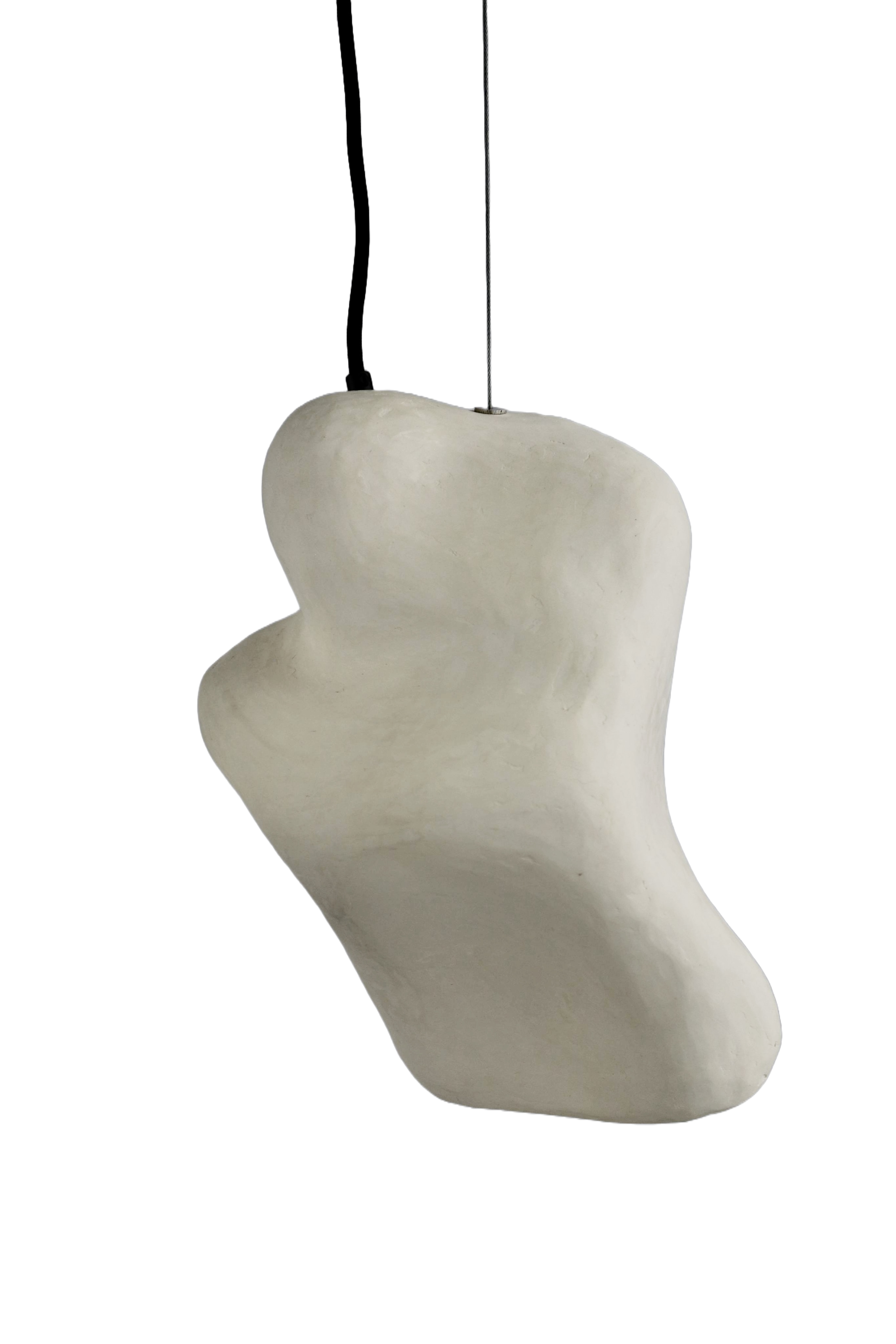 Invr Pendant Lamp #71