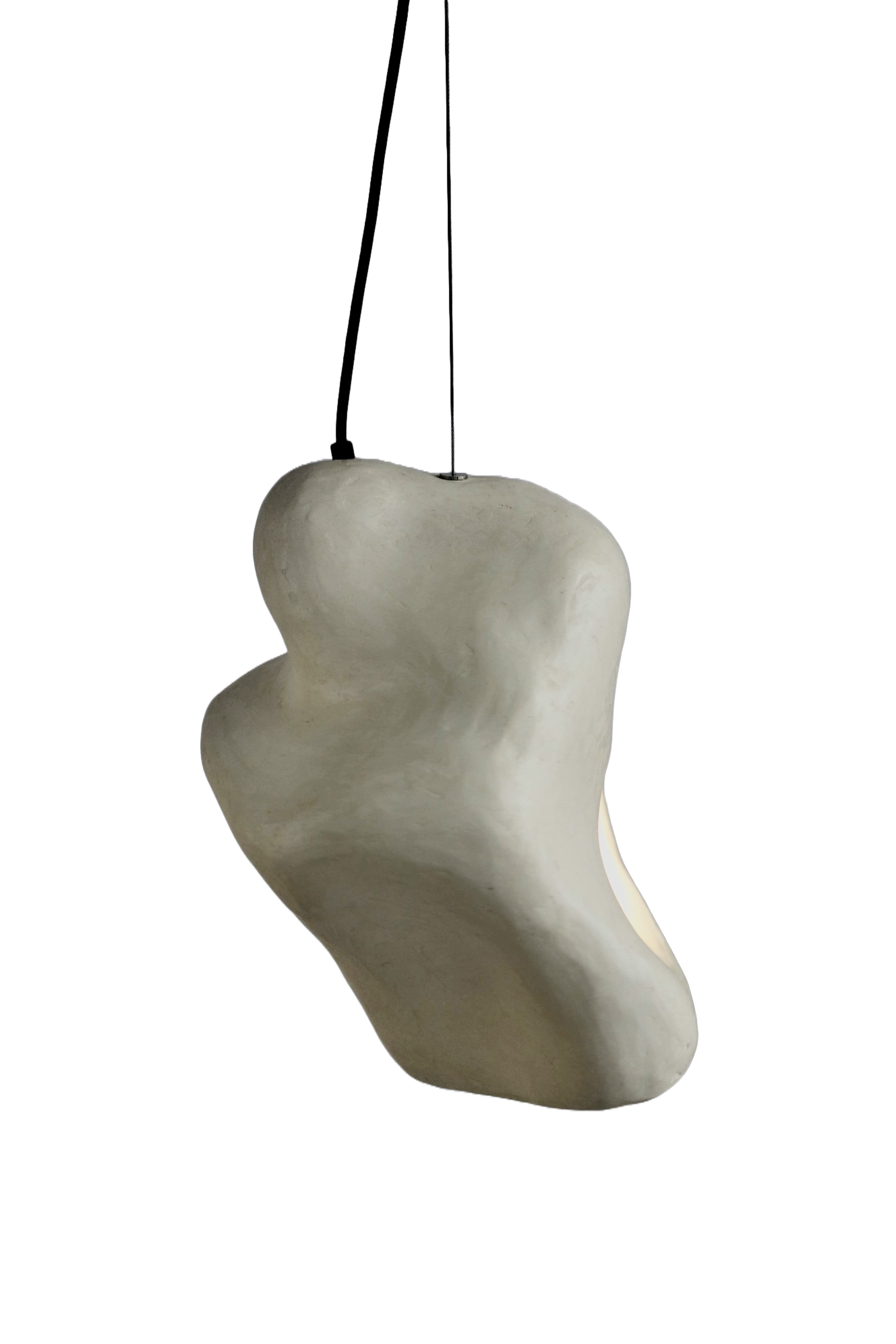 Invr Pendant Lamp #81