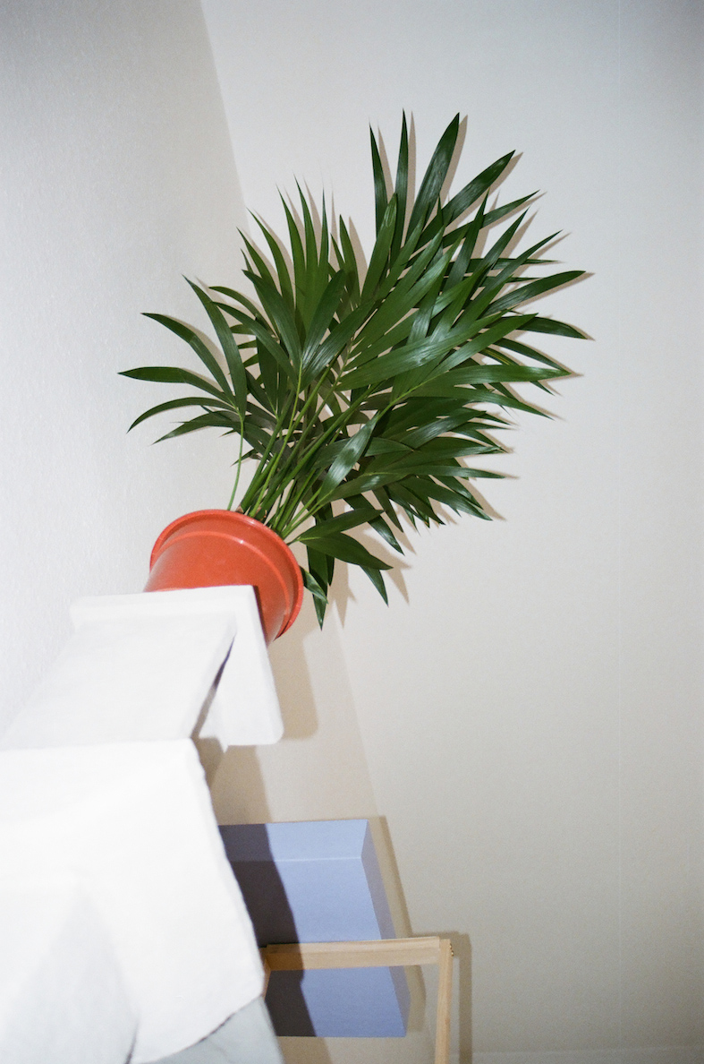 Species of the Space I  2017 #81