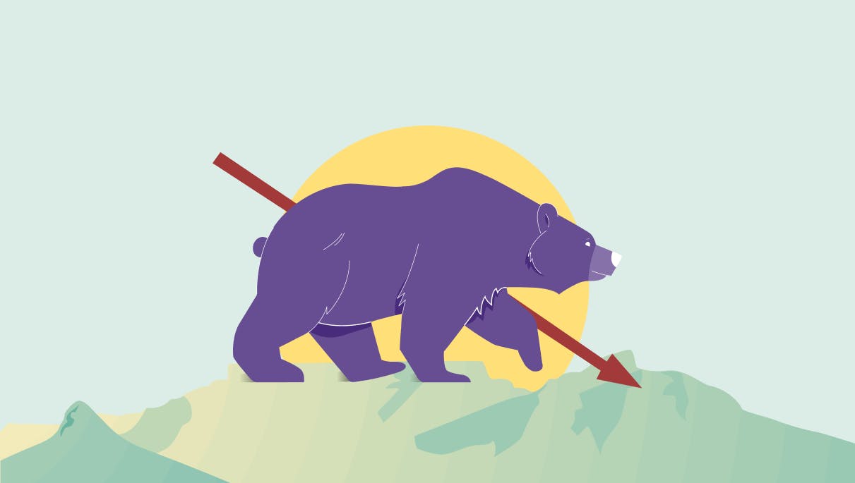 What is a Crypto Bull Market?