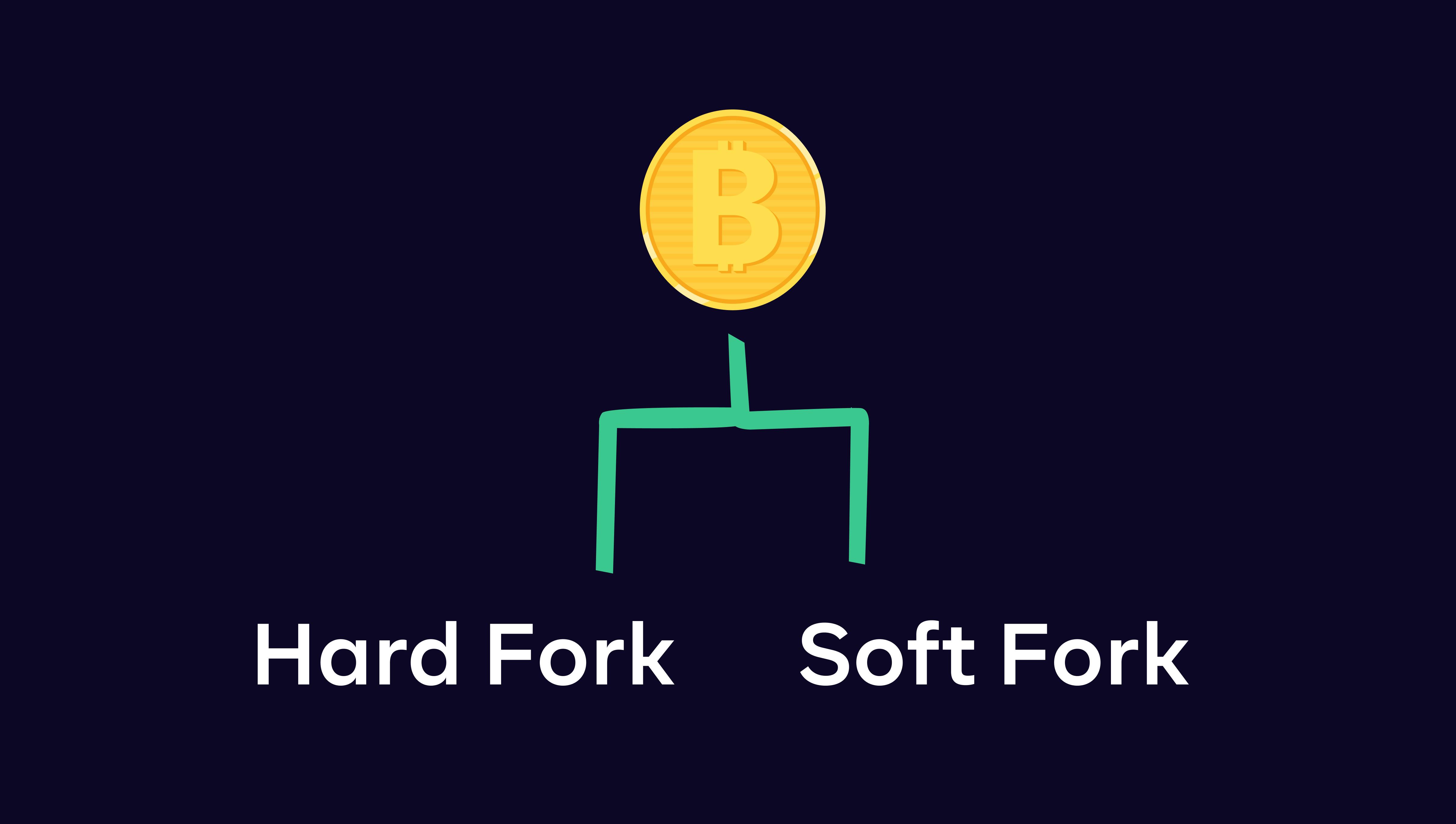 Hard Fork vs Soft Fork 