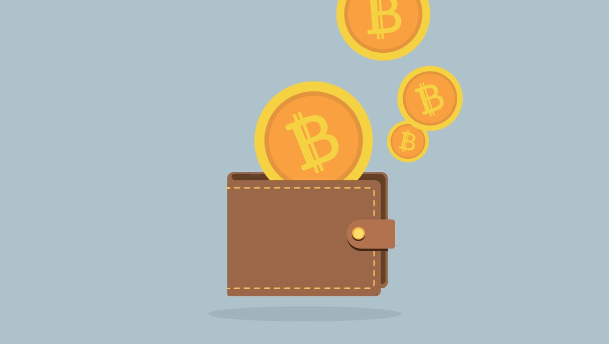 Introduction to Bitcoin Wallets