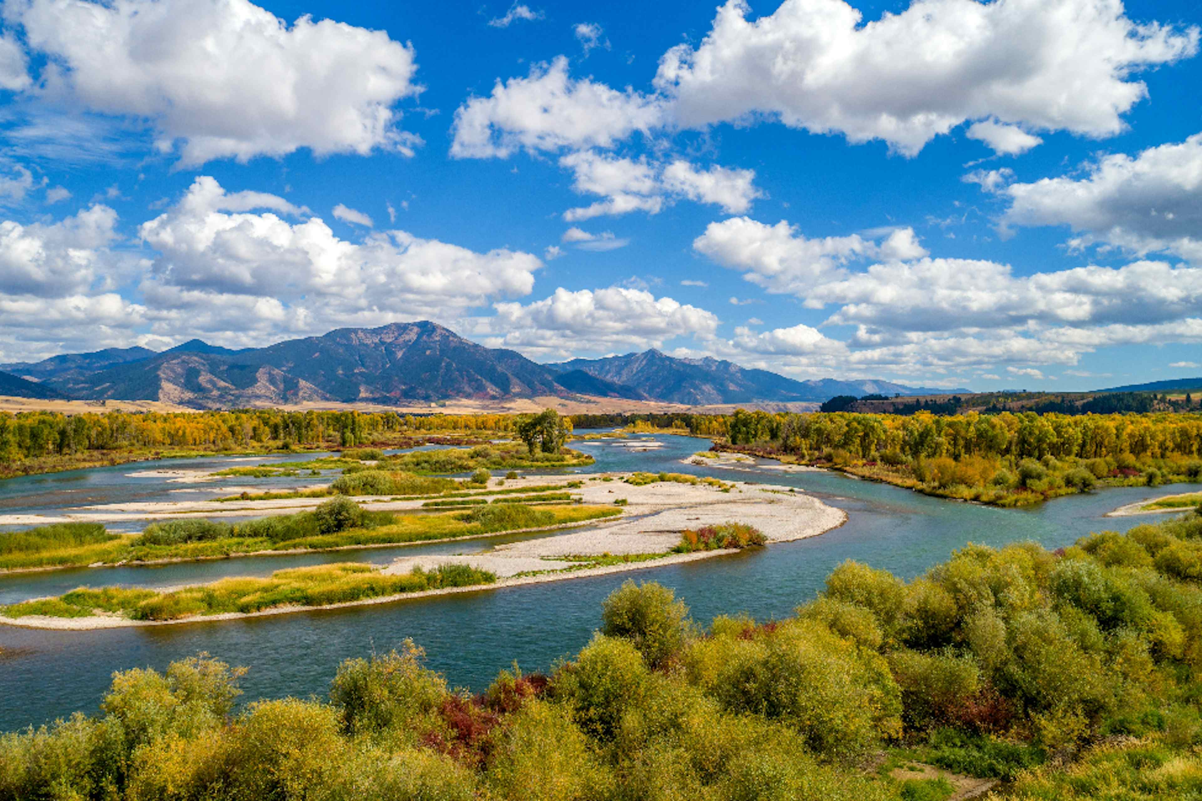 South Fork of the Snake River in Swan Valley ID in Yellowstone Teton Territory