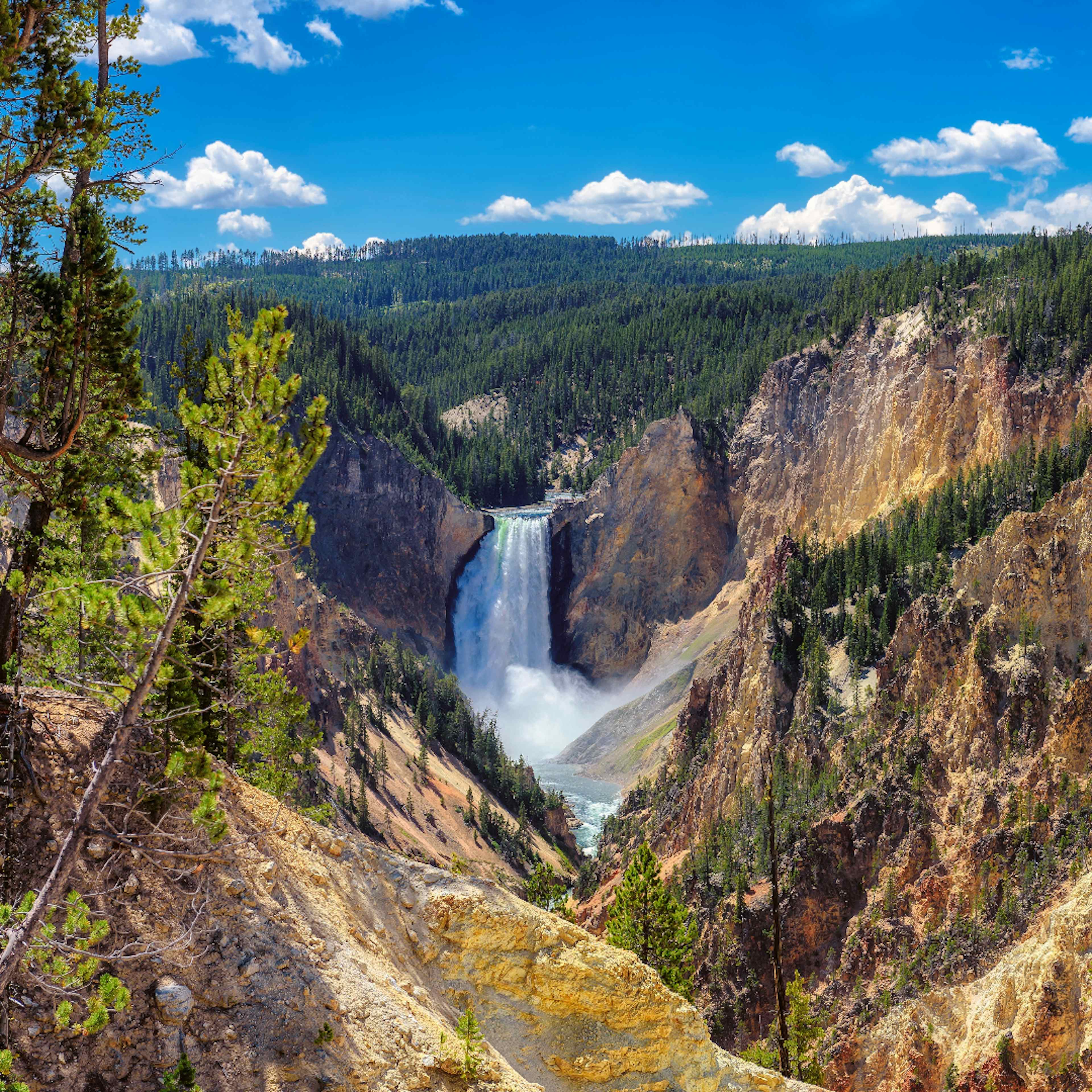 The waterfall in the Grand Canyon of Yellowstone in Yellowstone National Park in Yellowstone Teton Territory.