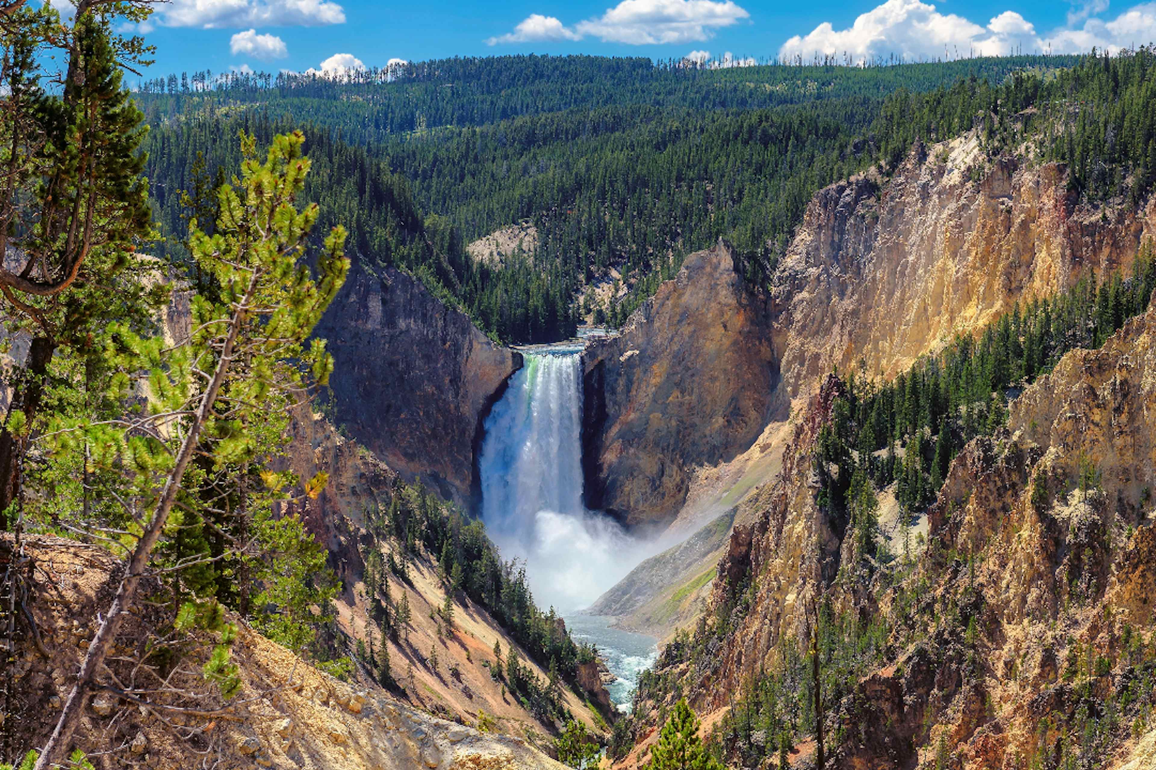 The waterfall in the Grand Canyon of Yellowstone in Yellowstone National Park in Yellowstone Teton Territory.