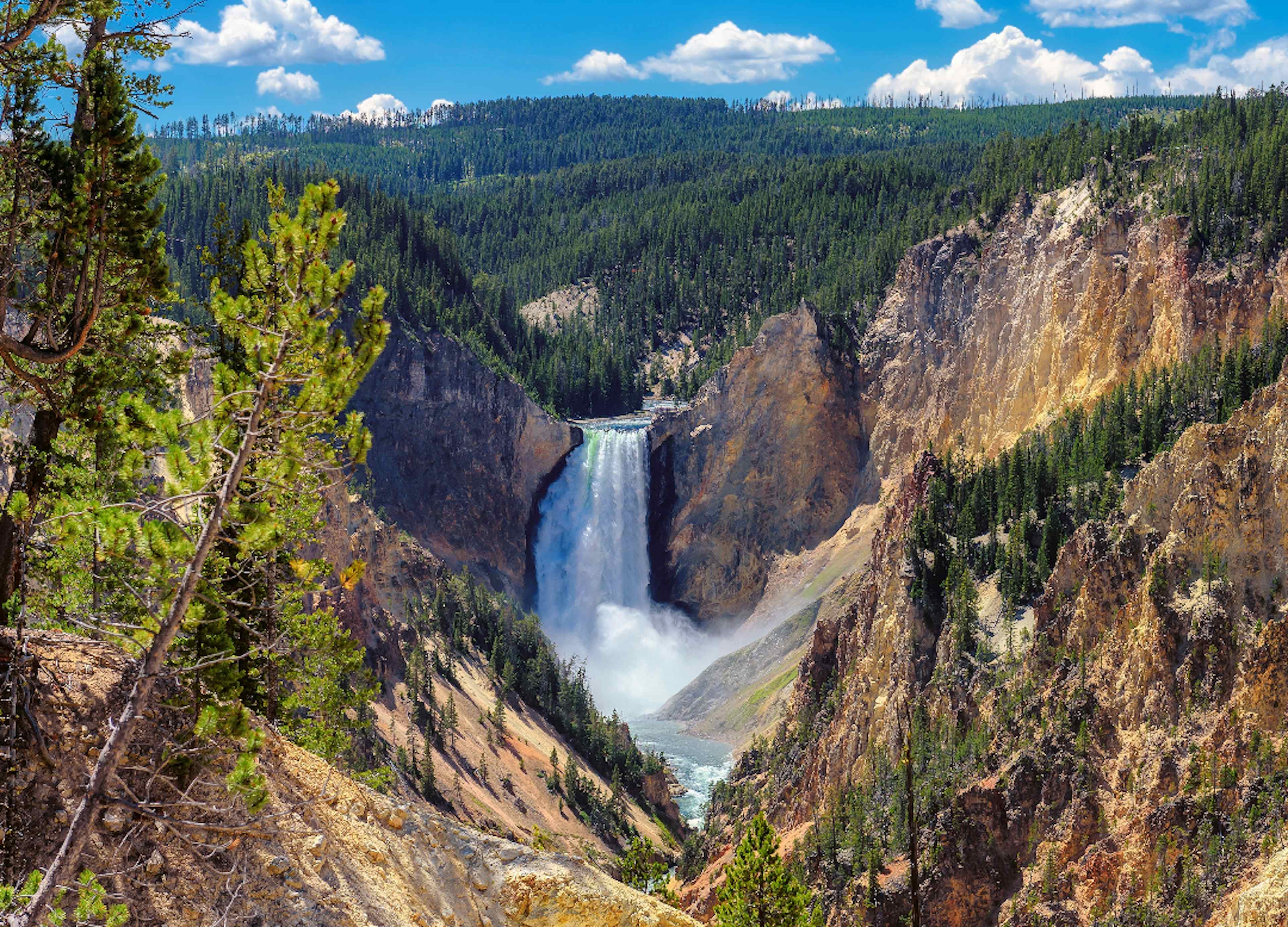 The waterfall in the Grand Canyon of Yellowstone in Yellowstone National Park in Yellowstone Teton Territory.