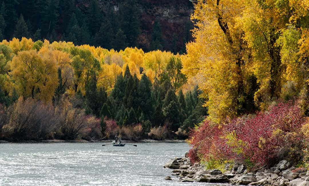 Fly fishing on the South Fork of the Snake River in Swan Valley ID, a part of Yellowstone Teton Territory.