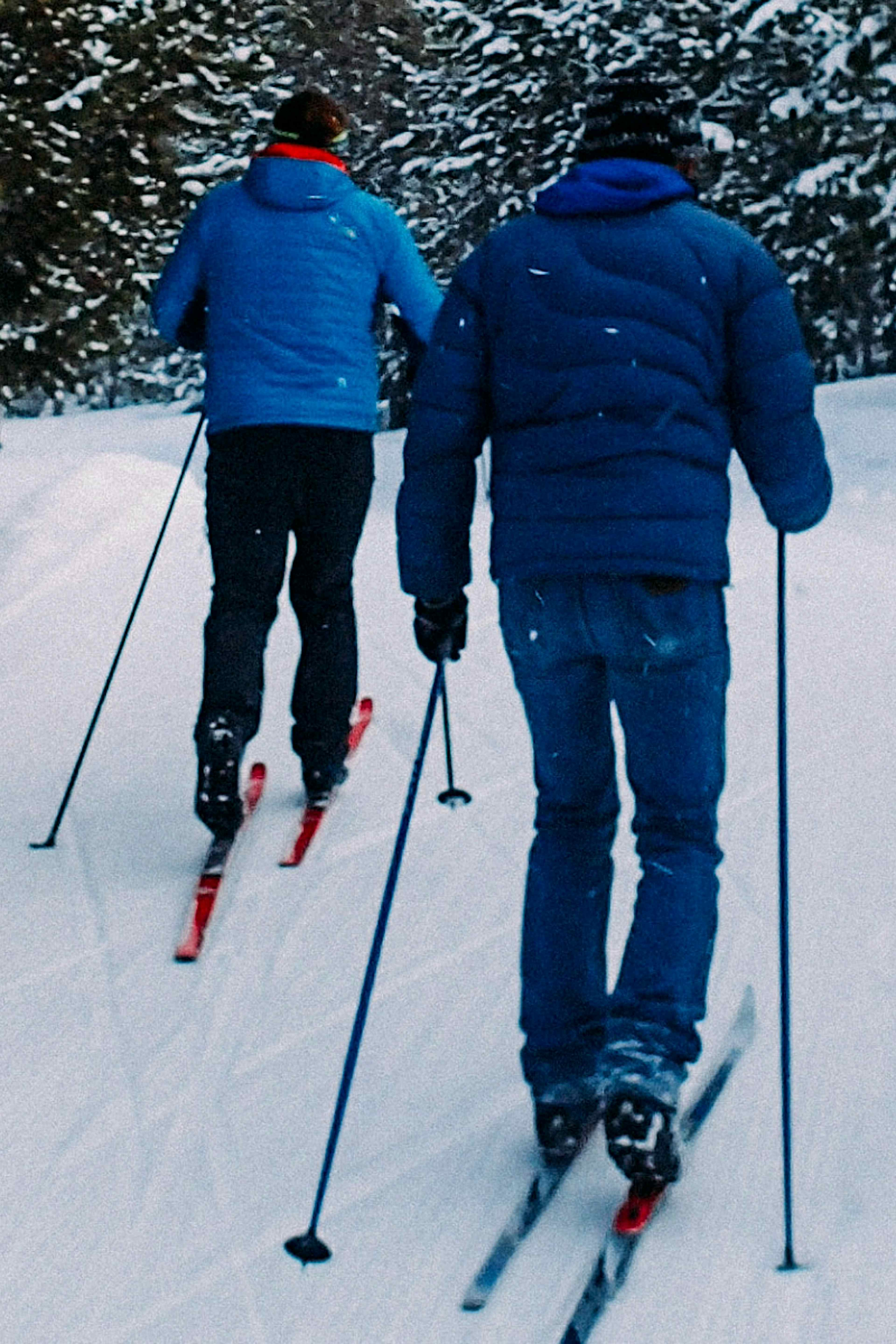 Cross Country Skiers on a groomed nordic track in Yellowstone Teton Territory
