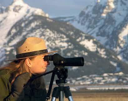 Ranger looks at migratory birds in Grand Teton National Park in Yellowstone Teton Territory.