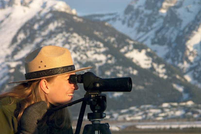 Ranger looks at migratory birds in Grand Teton National Park in Yellowstone Teton Territory.