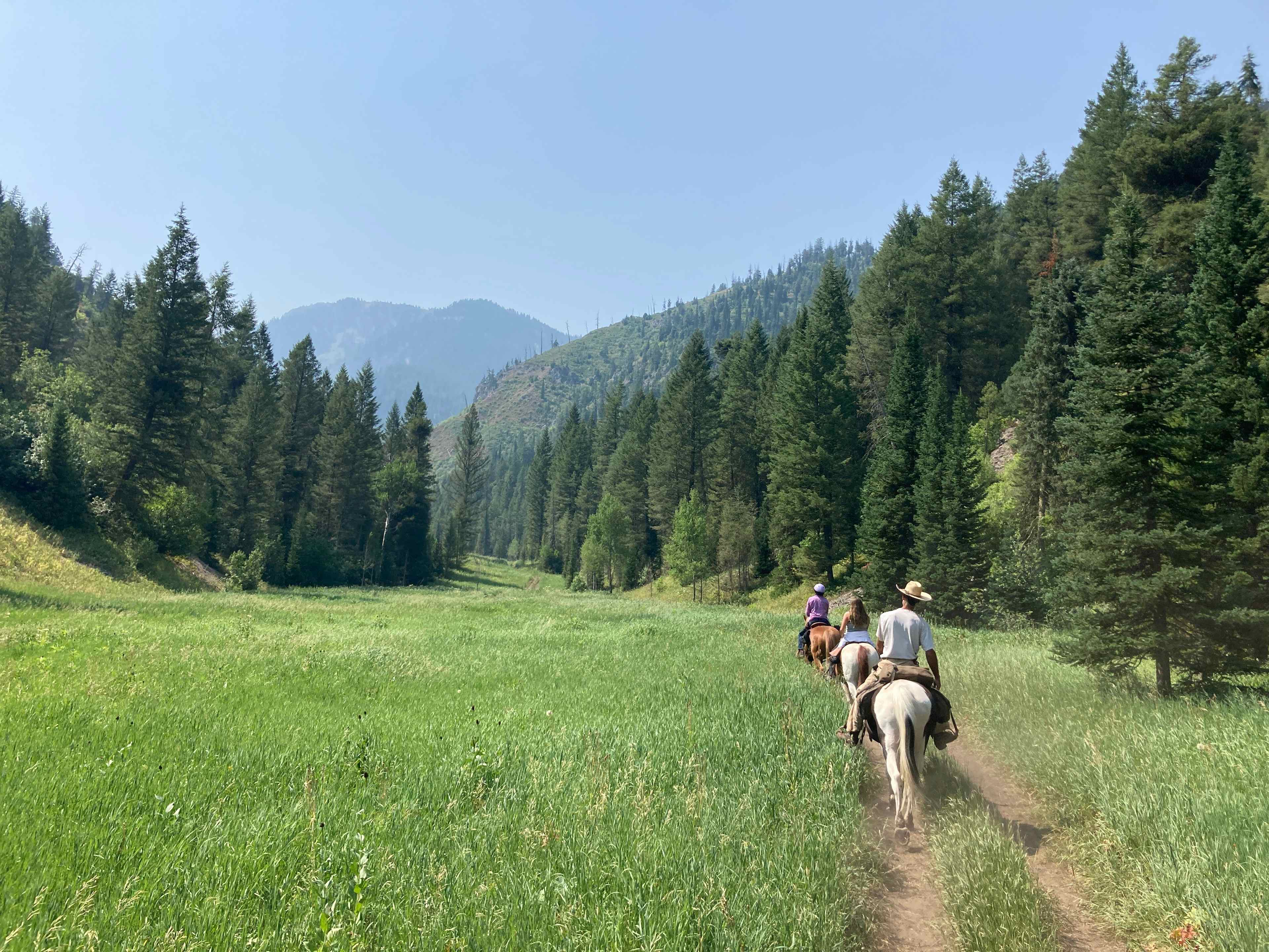 Horseback riding through a meadow in Eastern Idaho, a part of Yellowstone Teton Territory.