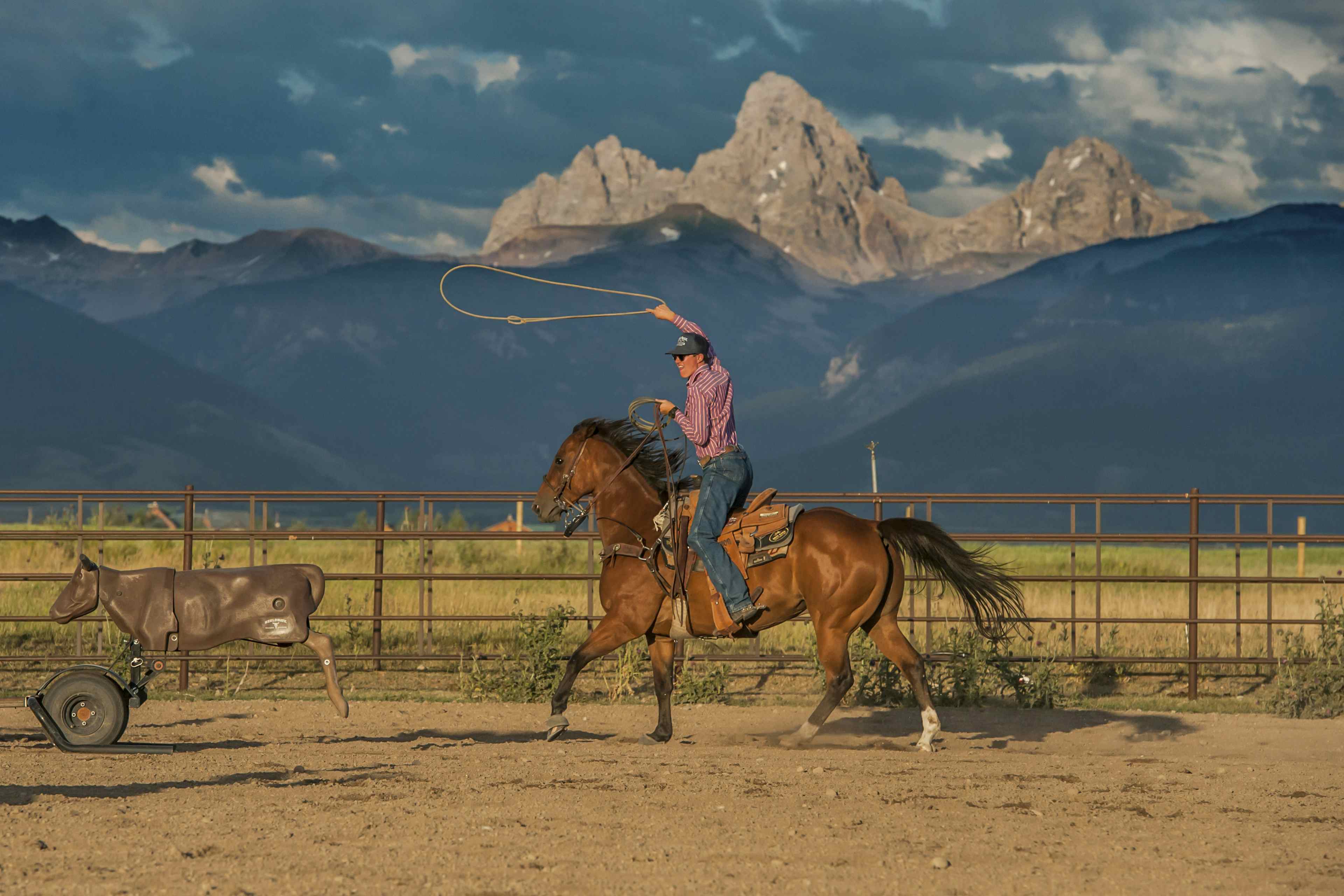 Rodeo rider lassoing at Teton Valley Rodeo in Eastern Idaho, a part of Yellowstone Teton Territory.