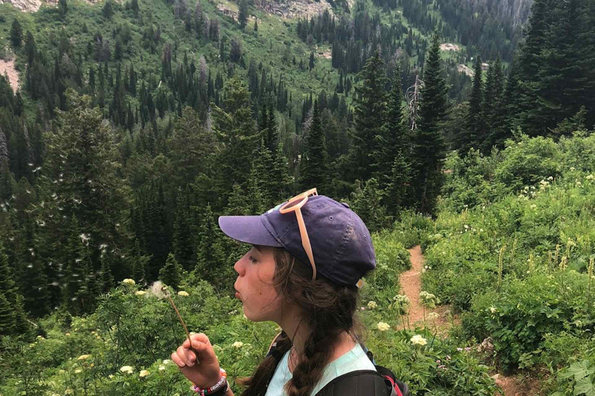 Hike Devils Stairs in Teton Canyon in Alta Wyoming, a part of Yellowstone Teton Territory in Teton Valley.