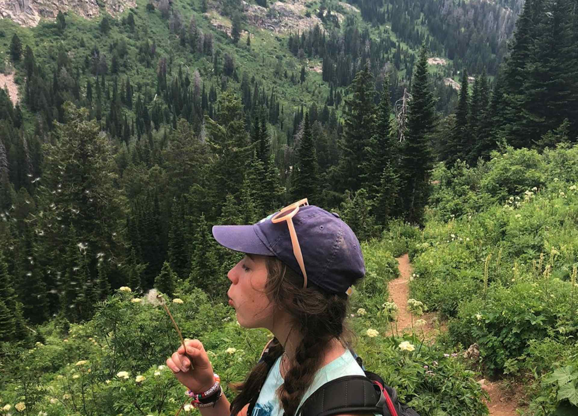 Hike Devils Stairs in Teton Canyon in Alta Wyoming, a part of Yellowstone Teton Territory in Teton Valley.