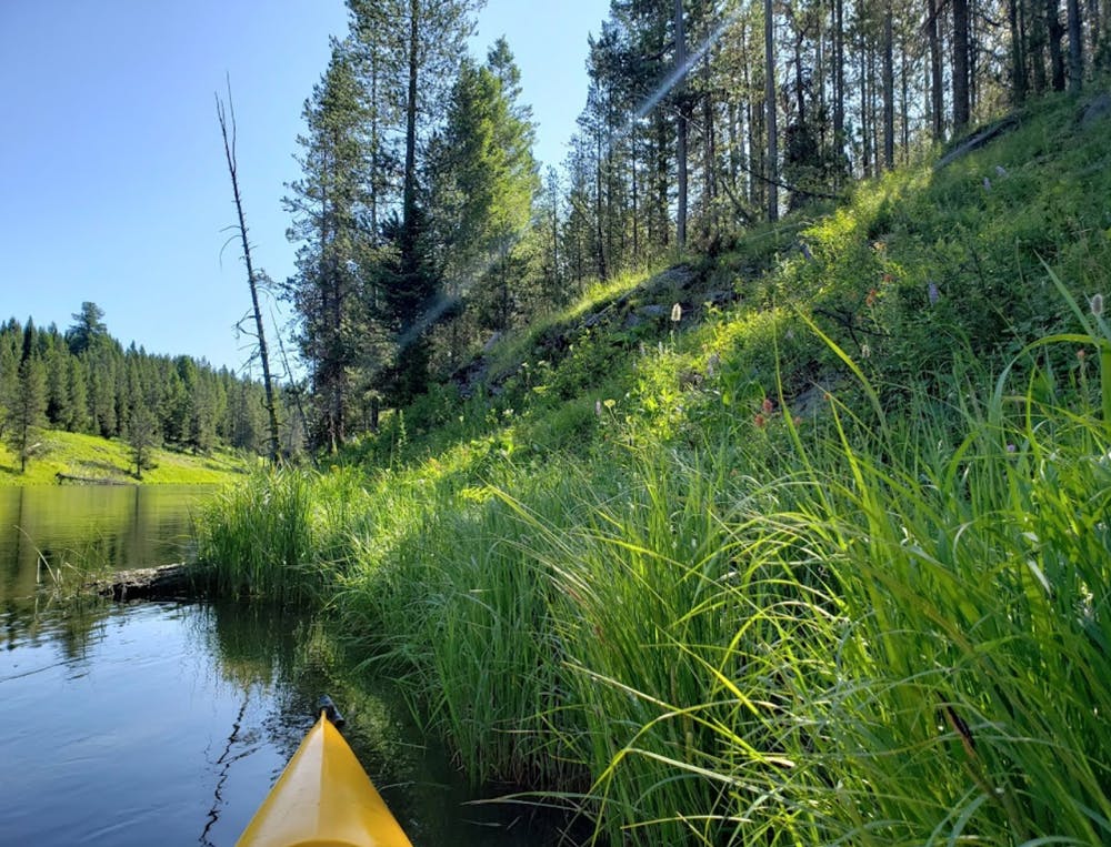 McCrea Bridge Campground: Where the Salmon River Sings