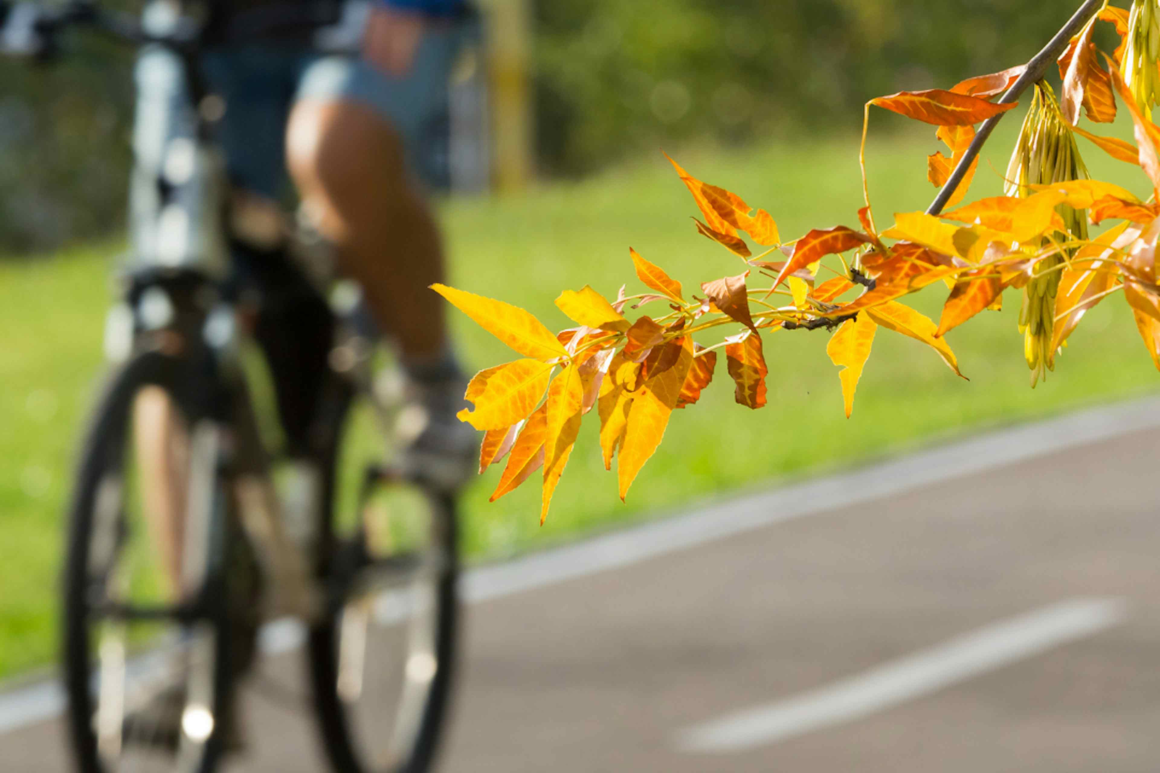 Road biking in Rexburg, Idaho, a part of Eastern Idaho and Yellowstone Teton Territory.
