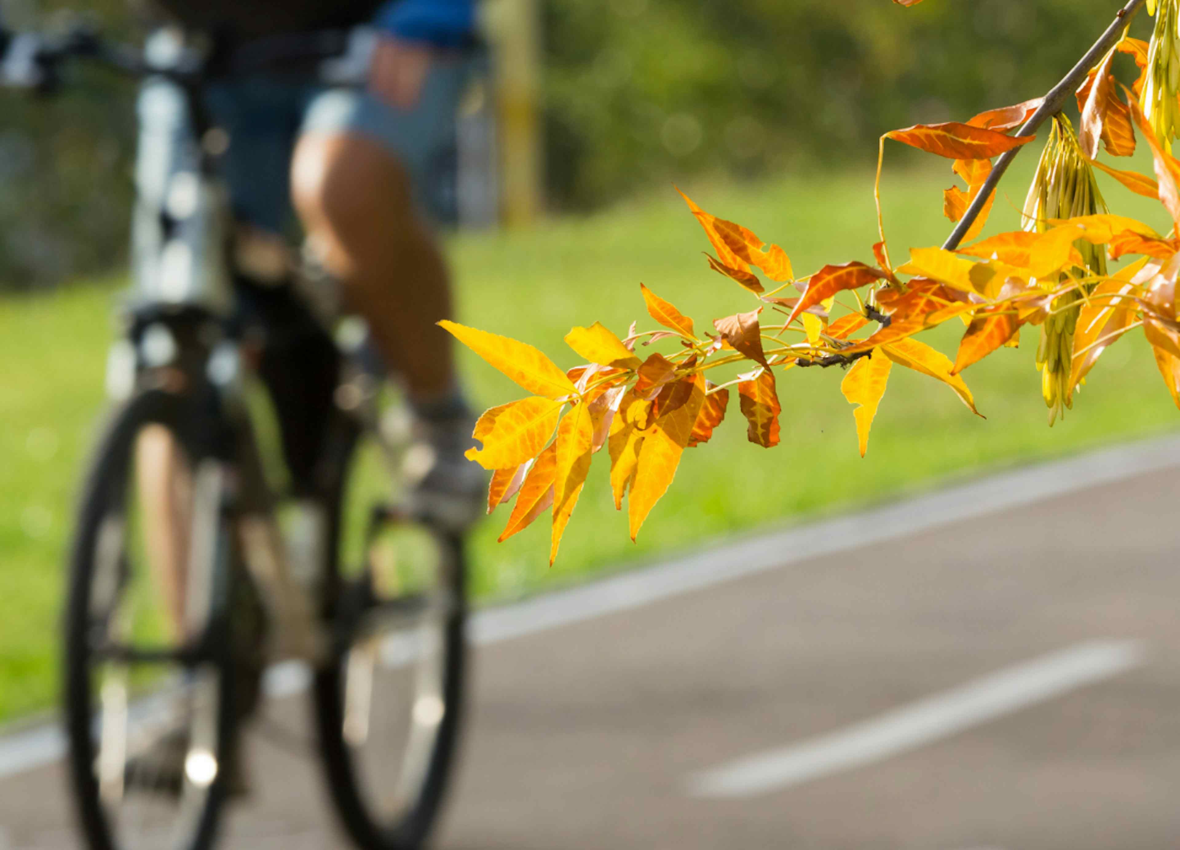 Road biking in Rexburg, Idaho, a part of Eastern Idaho and Yellowstone Teton Territory.