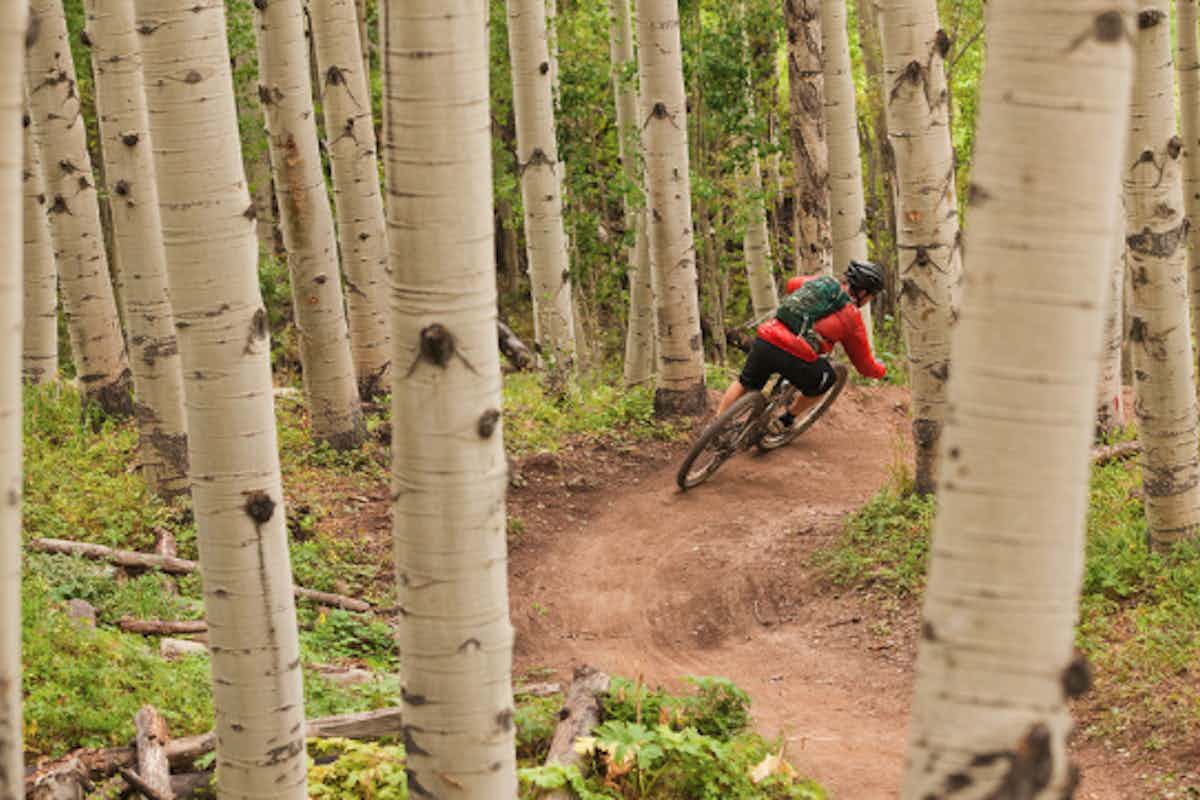 A mountain biker races up an aspen trail in Eastern Idaho, a part of Yellowstone Teton Territory.