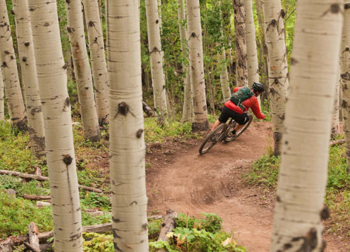 A mountain biker races up an aspen trail in Eastern Idaho, a part of Yellowstone Teton Territory.