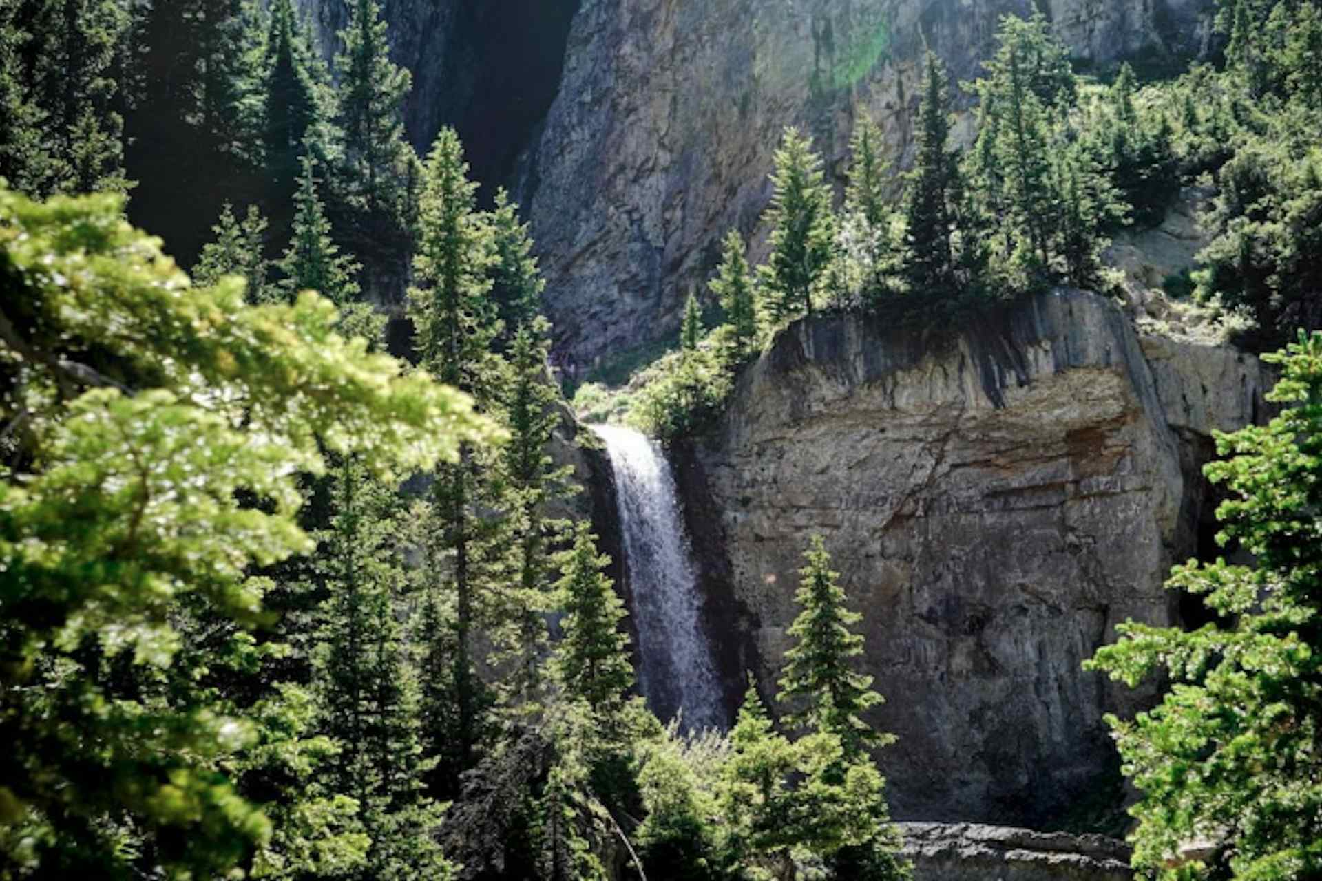 The Caribou-Targhee National Forest in Dubois Idaho a part of the Yellowstone Teton Territory in Eastern Idaho.