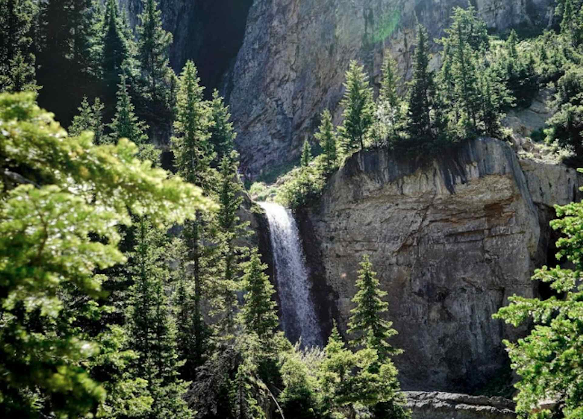 The Caribou-Targhee National Forest in Dubois Idaho a part of the Yellowstone Teton Territory in Eastern Idaho.