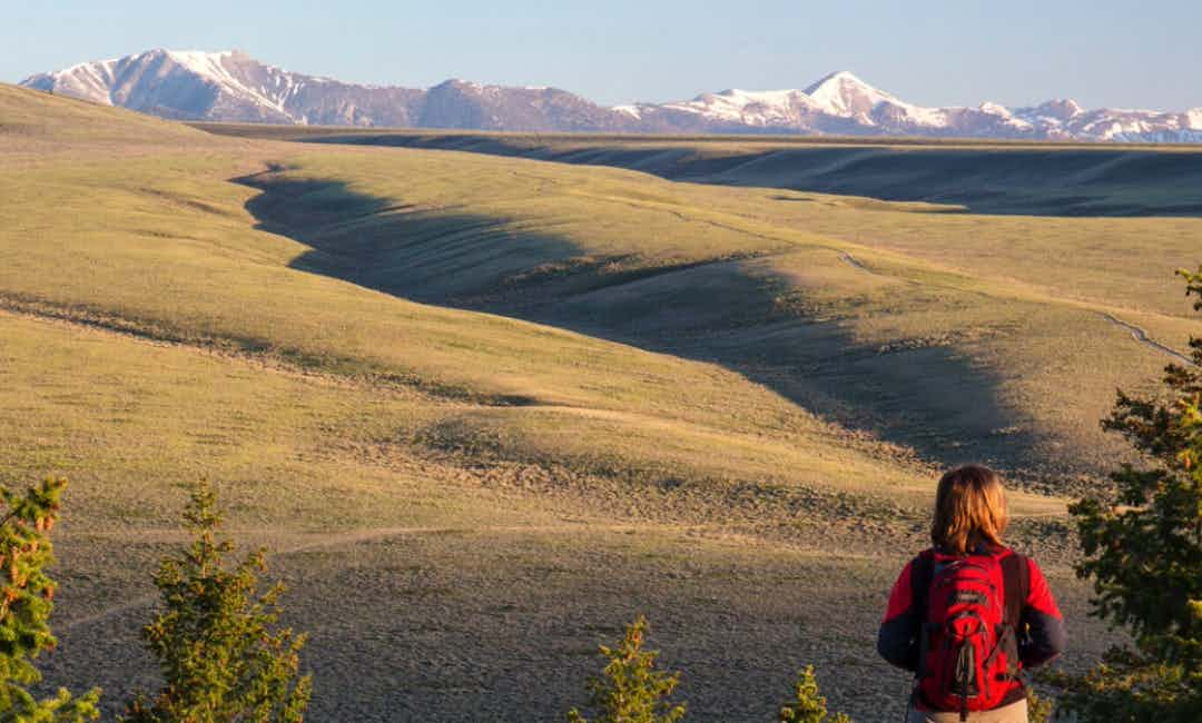 A hiker on the Gold Loop Trail outside of Dubois, ID, a part of Yellowstone Teton Territory.