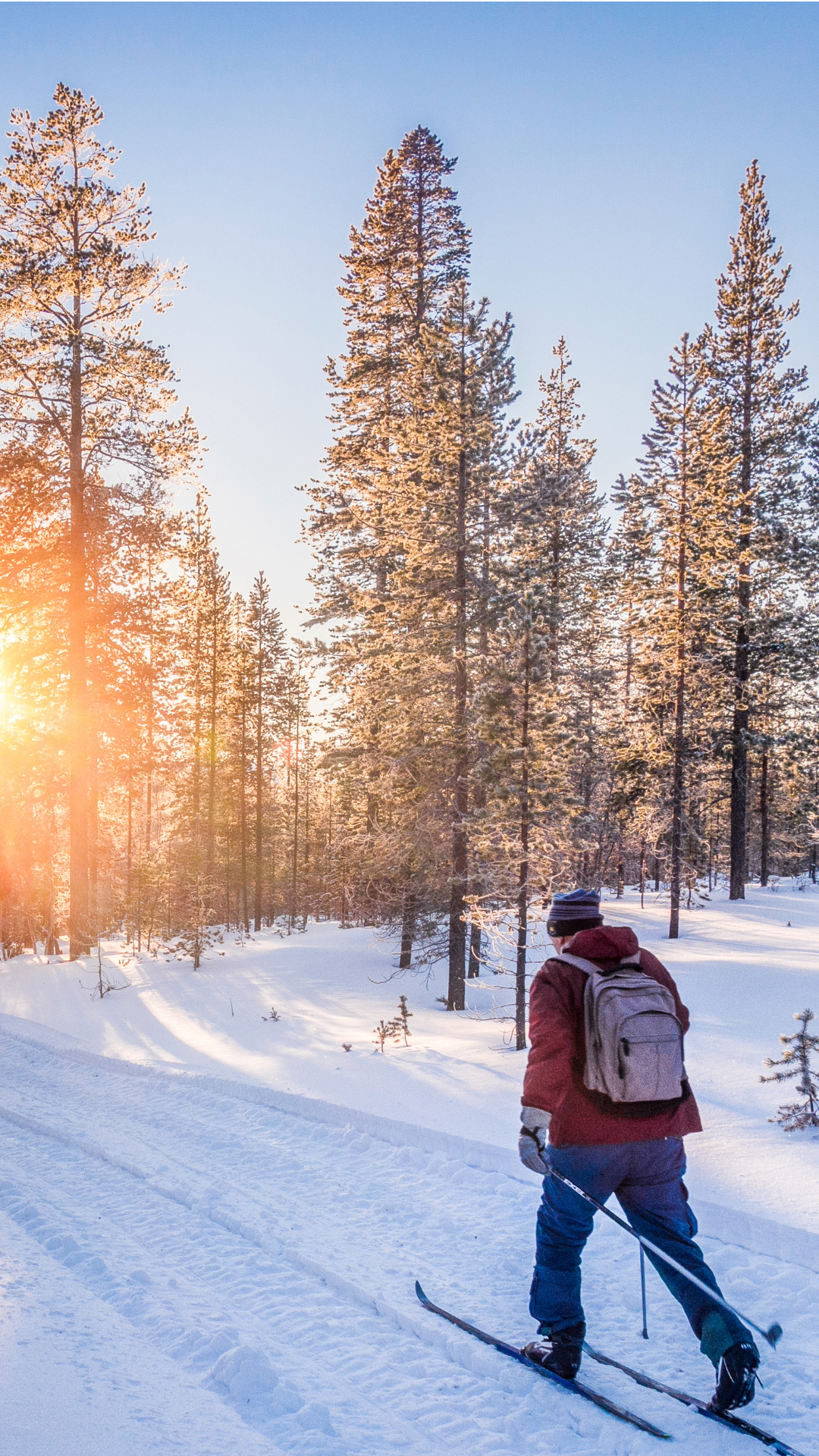 Nordic skier in Harriman State Park, Island Park, Idaho.