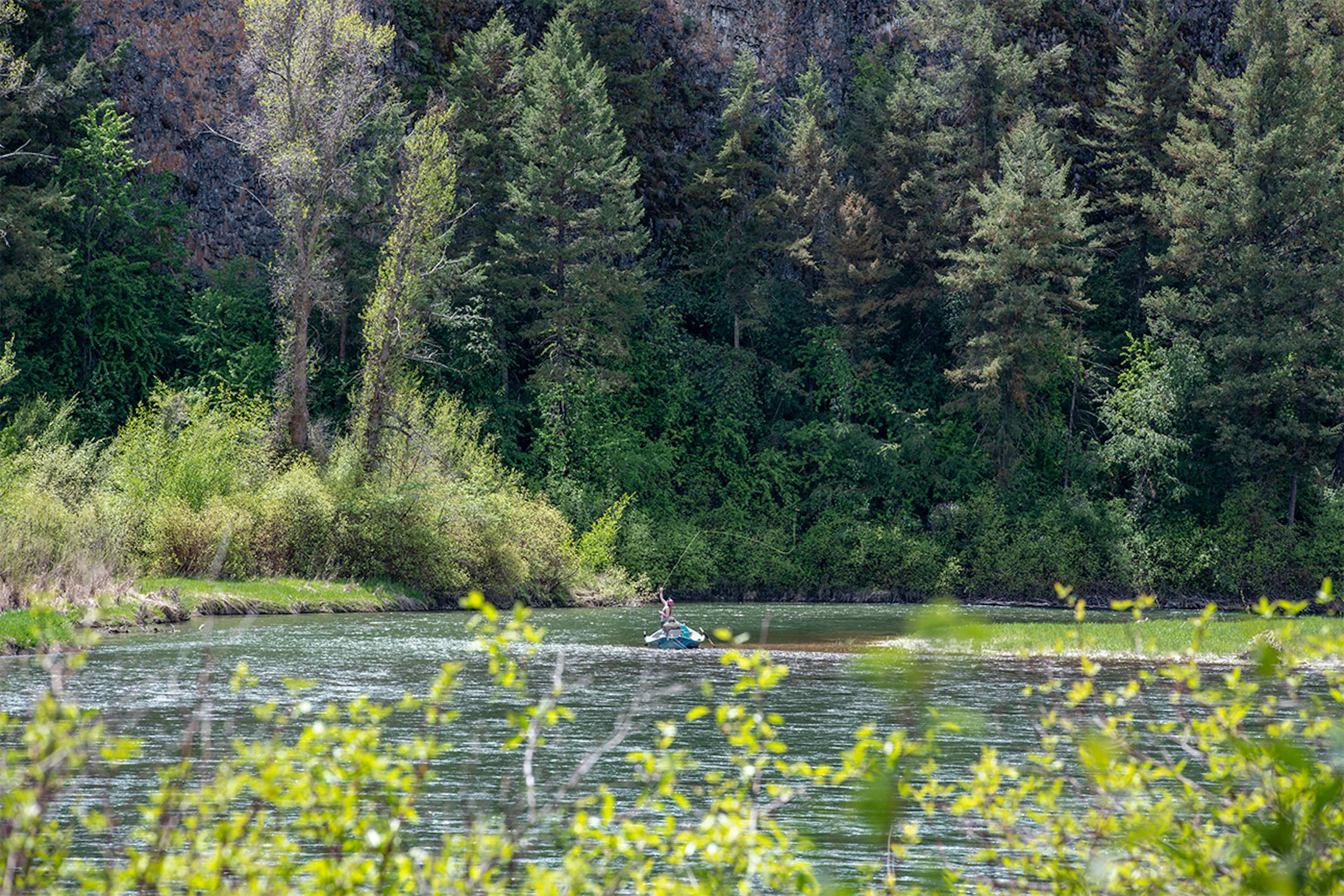 Floating the river in the Rigby/Ririe area of Eastern Idaho and Yellowstone Teton Territory.