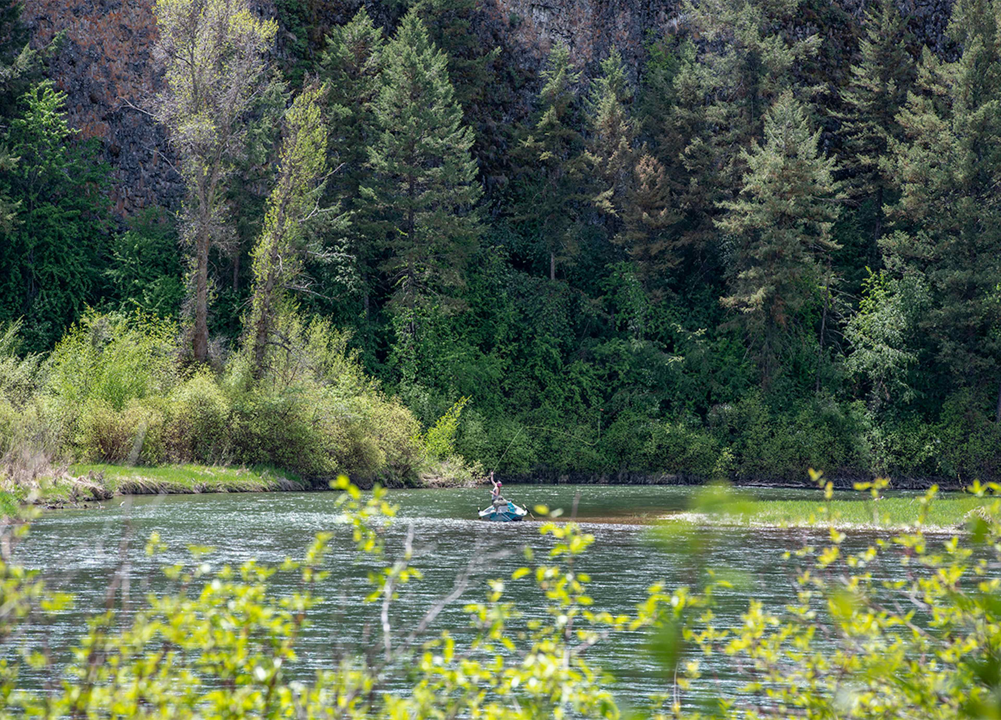 Floating the river in the Rigby/Ririe area of Eastern Idaho and Yellowstone Teton Territory.