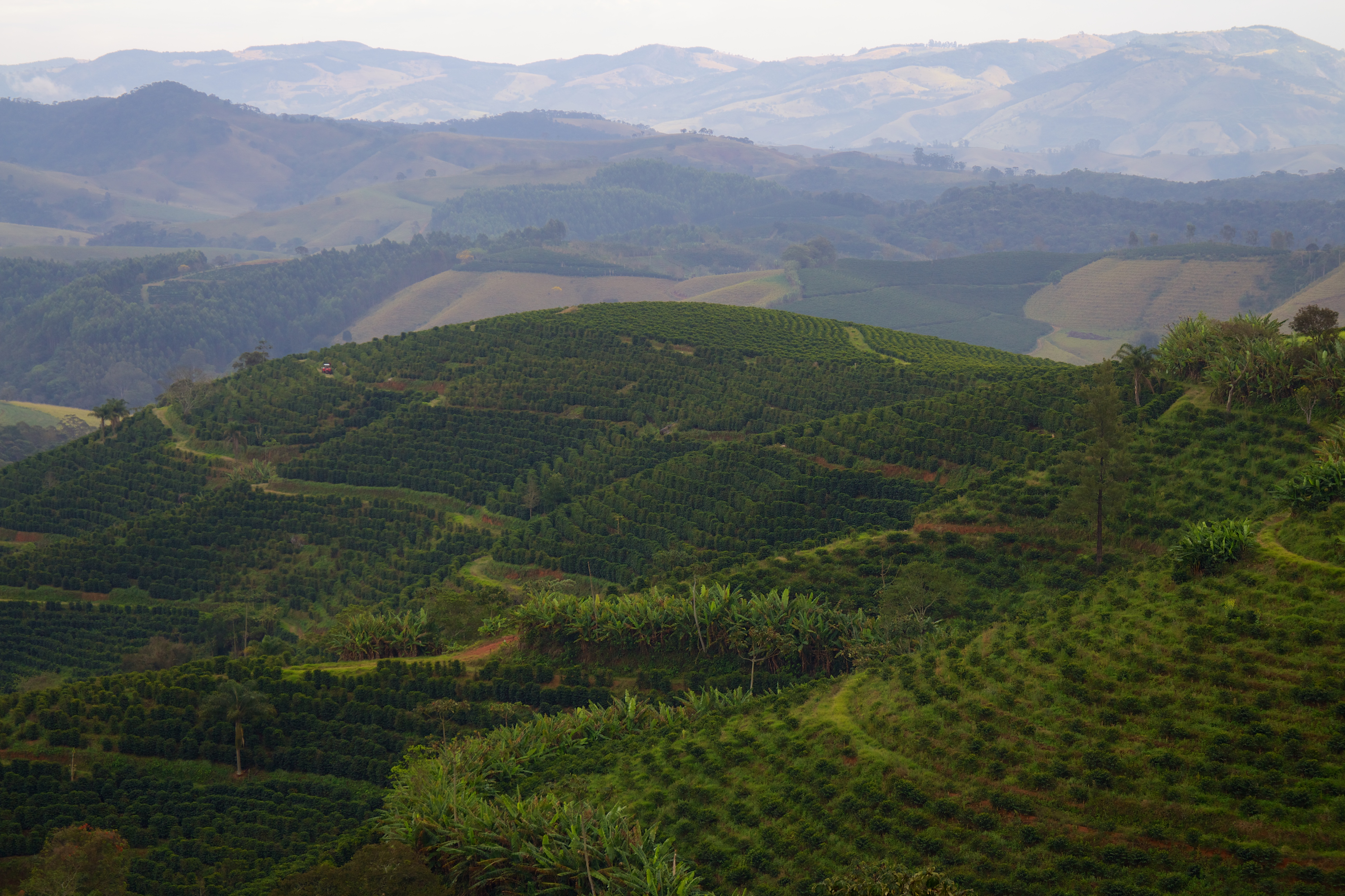 Ouro Fino, Brasil - Fazenda Santa Izabela