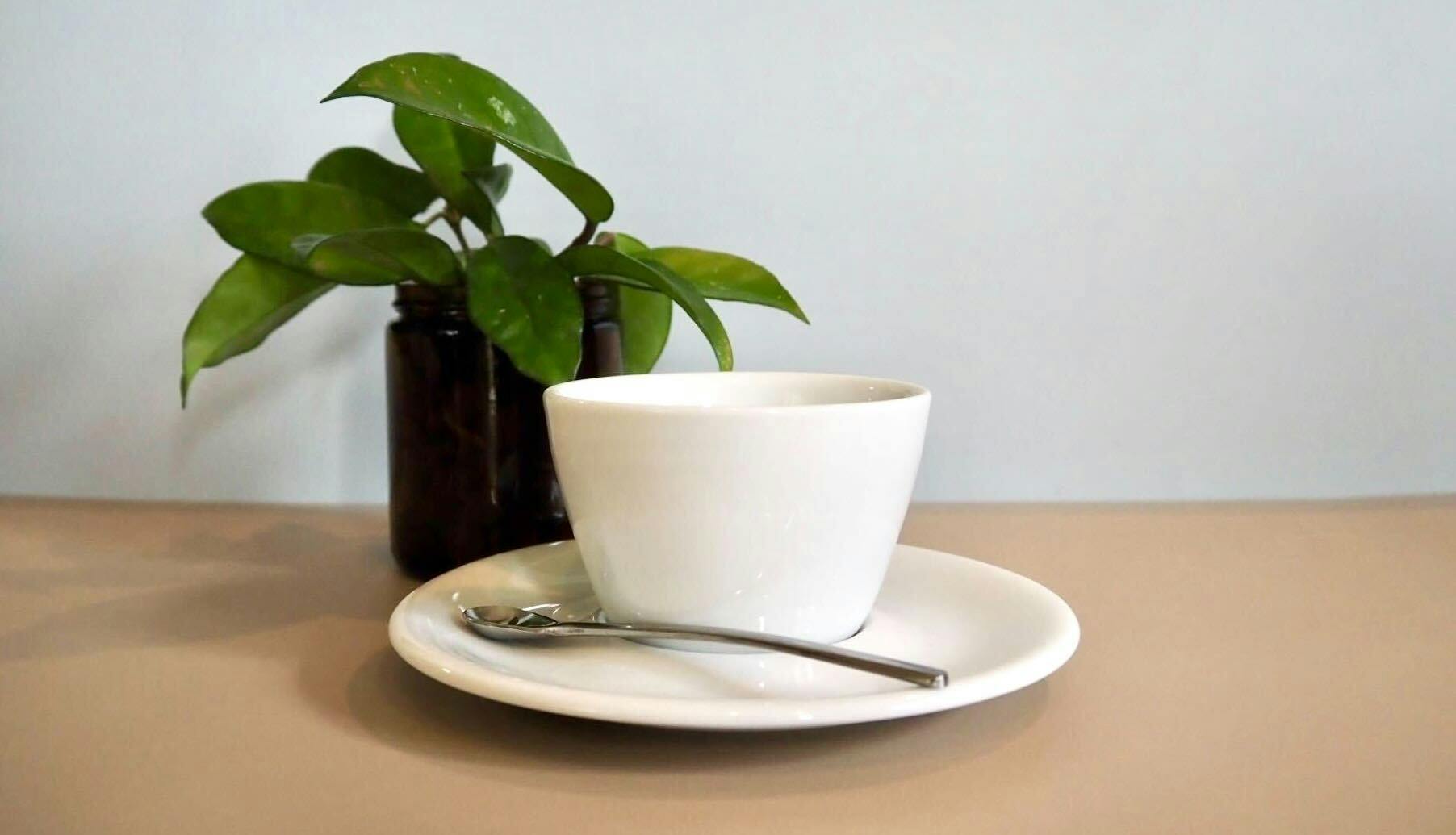 A white coffee cup which does not have a handle on a saucer with a spoon. A decorative plant is behind the coffee cup.