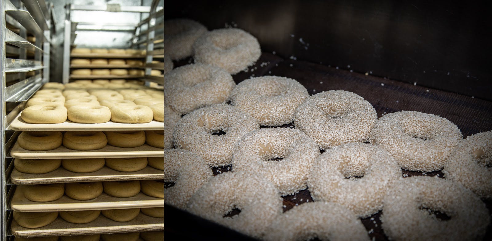 proofing bagel dough and sesame bagel baking at Maurys