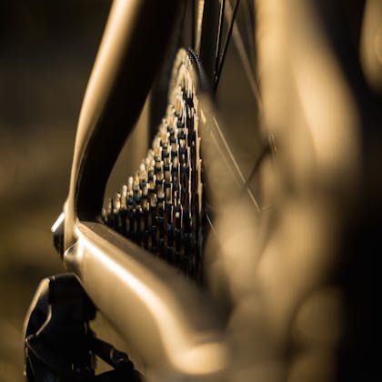 Bryn Bingham's SB150