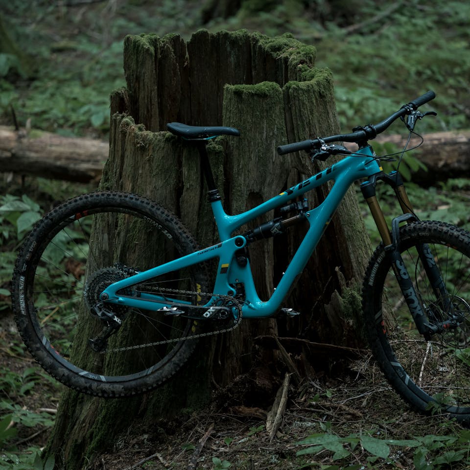 An SB150 against a stump in Revelstoke