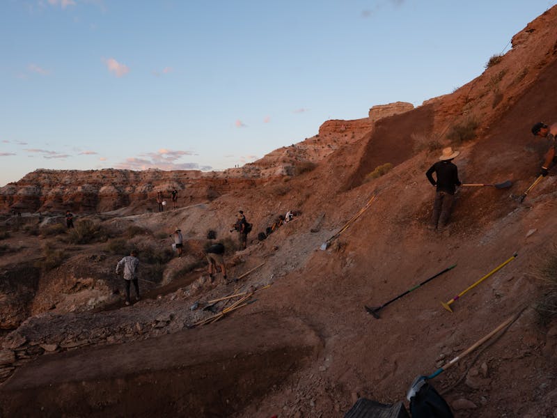 Redbull Rampage 2022 - Shaping a key feature of the line