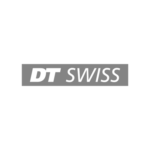 DT Swiss Logoa