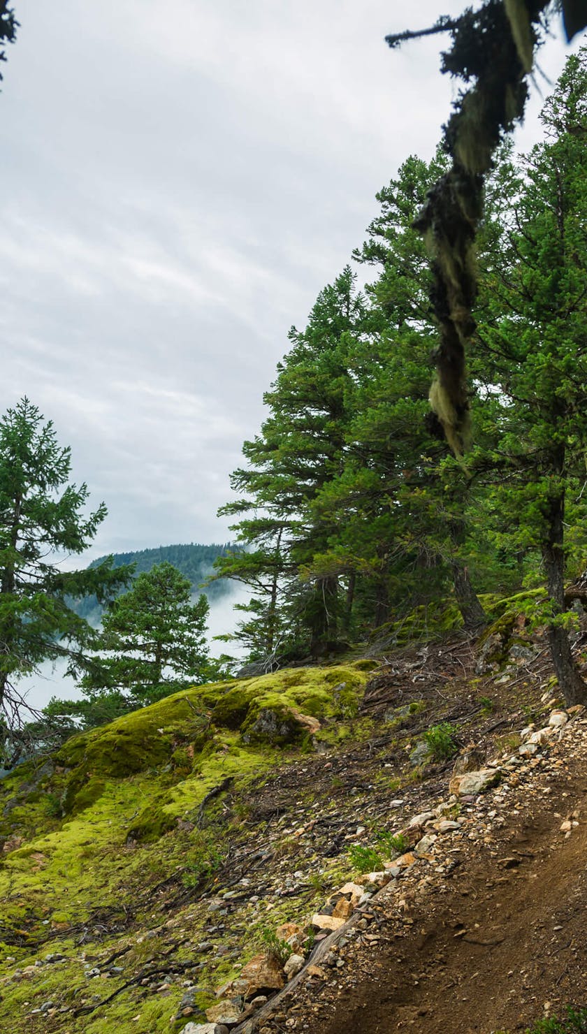 Jared Graves in Revelstoke on the SB6