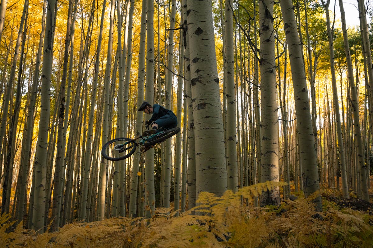 Jubal Davis jumping surrounded by aspen trees