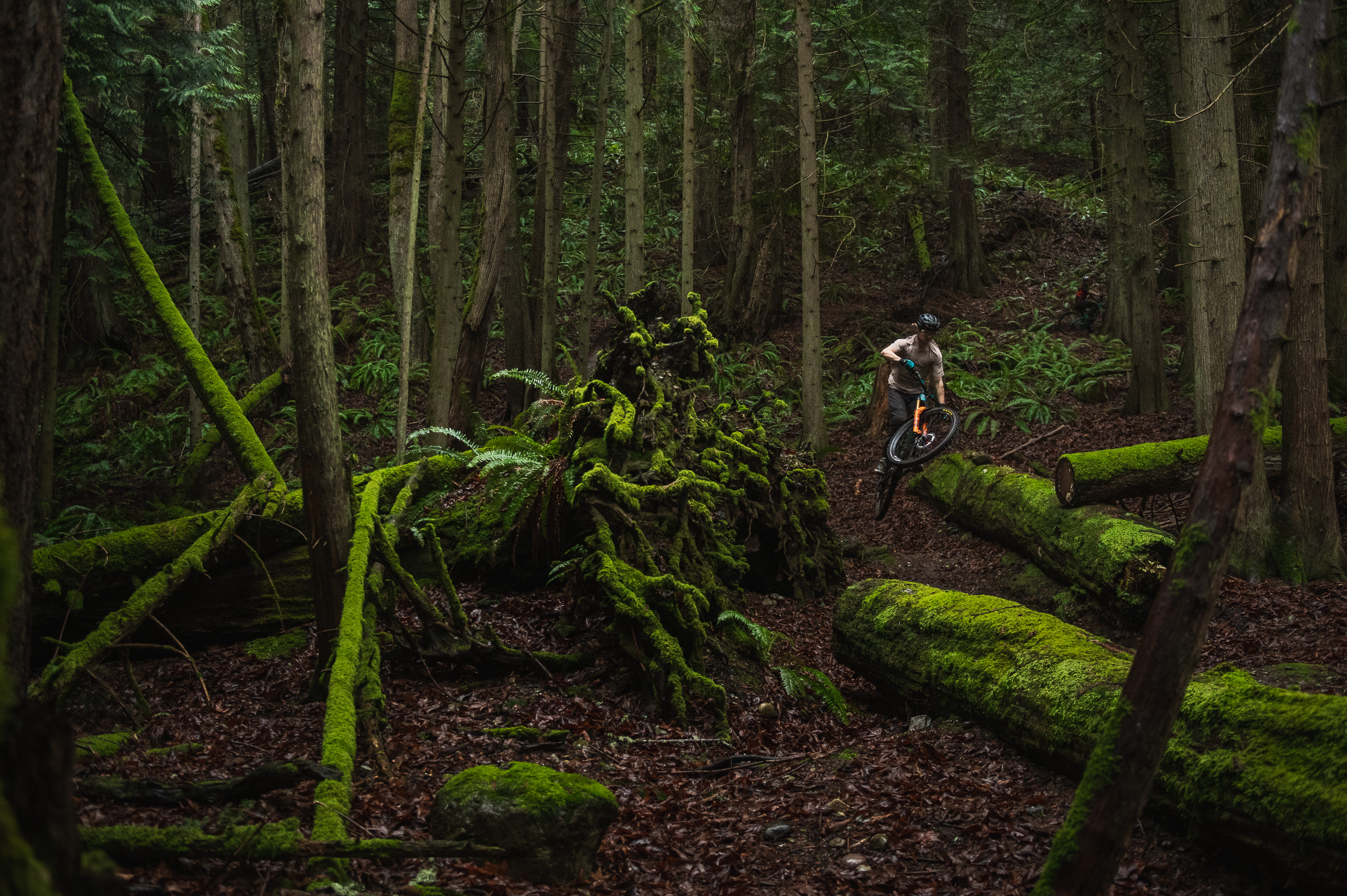 Yeti Cycles - Yeti Cycles